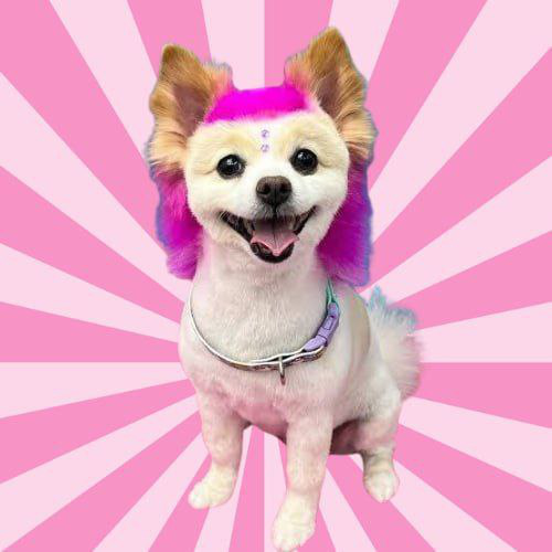Punky